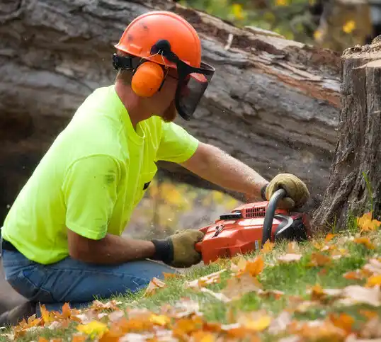 tree services New England